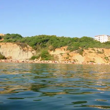 Vita Zingarello
